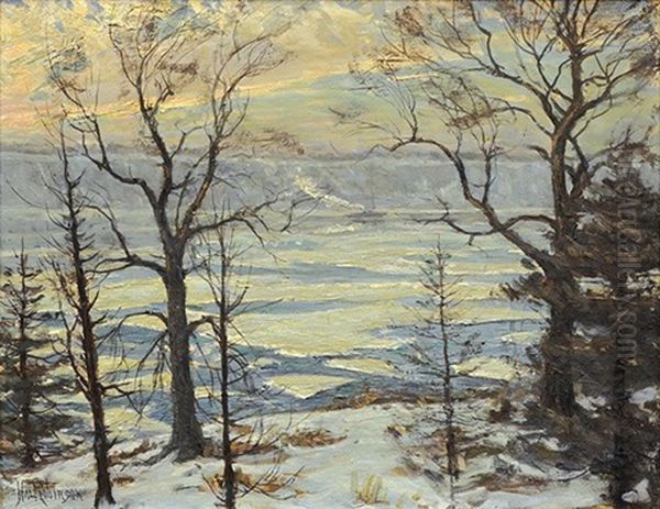 Winter On The Hudson River - view 1