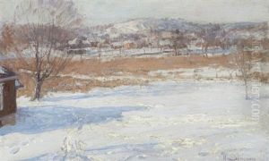 Afternoon Shadows, Westchester, New York