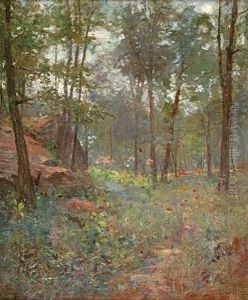 Spring Forest Interior