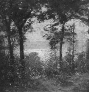 Sunset Through The Trees/a Shore View
