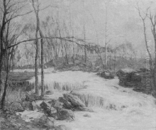 Rushing River - view 1