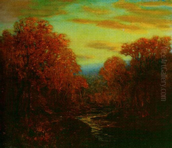 Woodland Scene - view 1