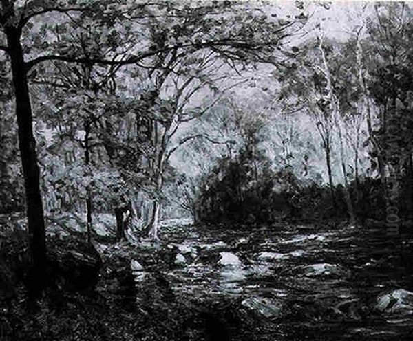 Forest Landscape With Stream - view 1