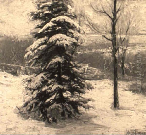 Snowfall - view 1