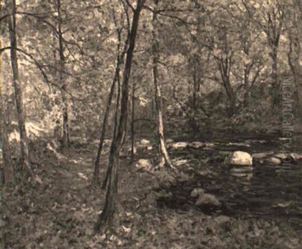 A Crisp Autumn Day In The Woods - view 1