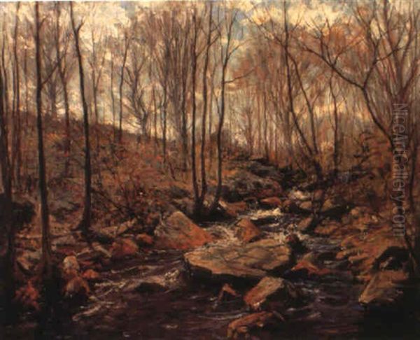 Woodland Stream - view 1