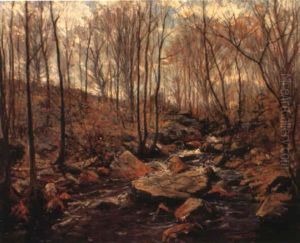 Woodland Stream Woodland Stream