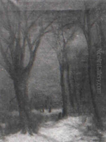 Winter Evening - view 1