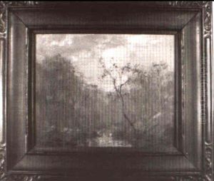 Trees In The Mist by Hal Robinson
