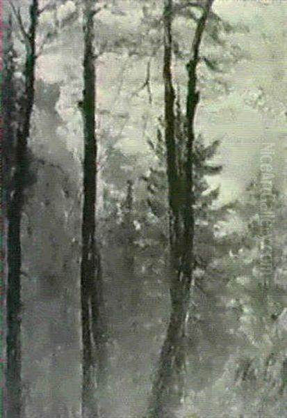 Through The Trees - view 1