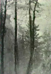 Through The Trees Through The Trees