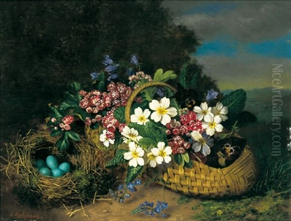 Wilde Blumen Und Ein Vogelnest - view 1