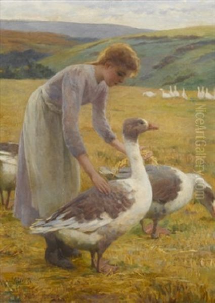 The Goose Girl - view 1
