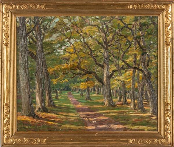Wooded Path - view 1