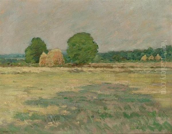 Grain Field, Nj - view 1