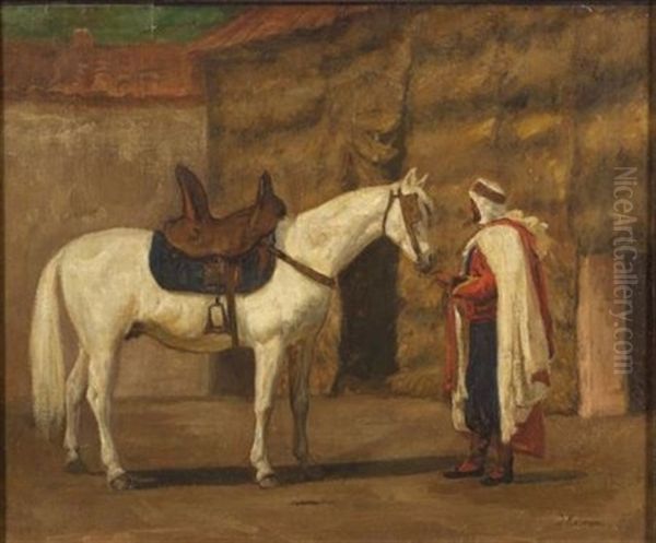 Arabian Horse, Algiers - view 1