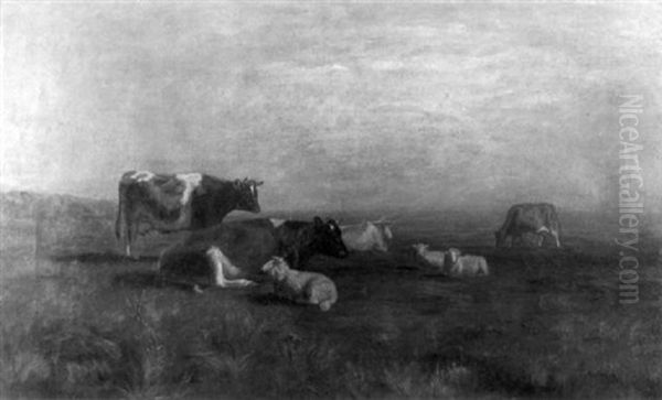 Cattle - view 1
