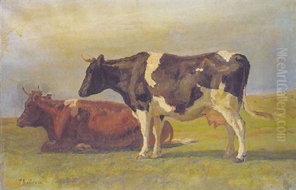 Cows - view 1