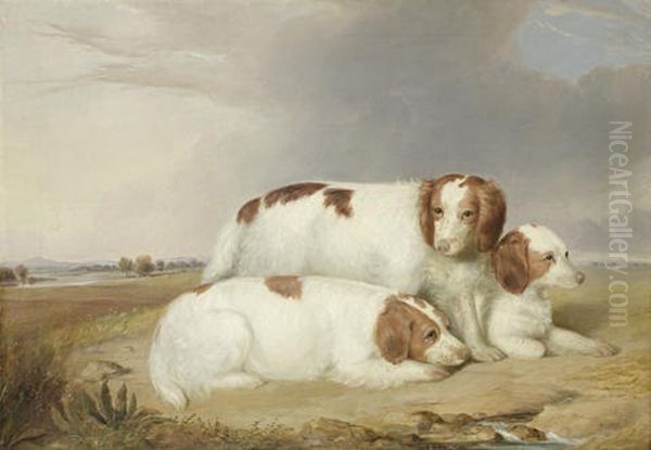 A Portrait Of Three Red And White Spaniels - view 1