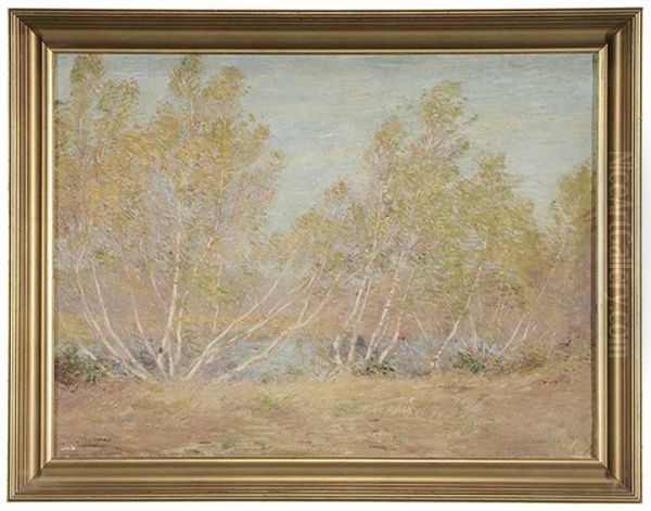 Birches In Autumn - view 1