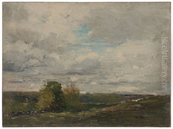 Landscape - view 1