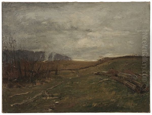 Field Clearing - view 1