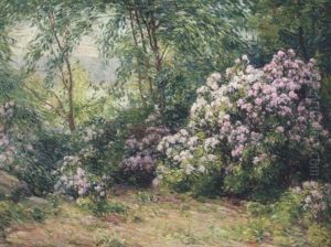 Mountain Laurel by William S. Robinson