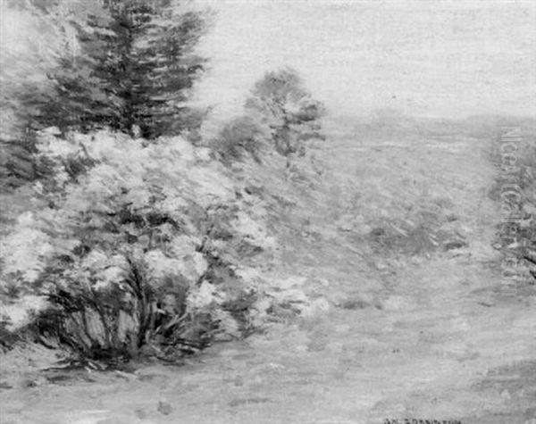 Old Lyme-conn. June 1909 - view 1