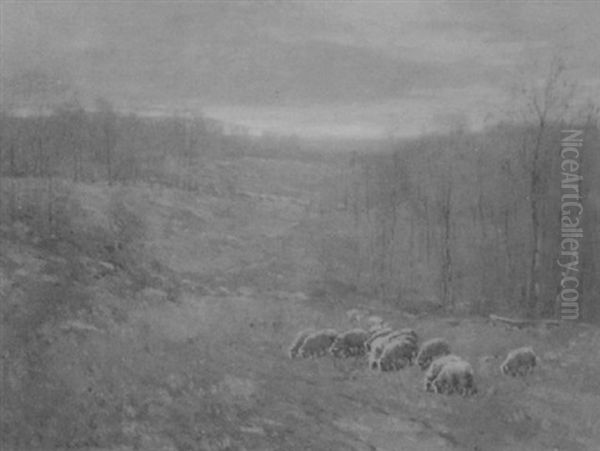 Sheep Grazing On The Hillside - view 1