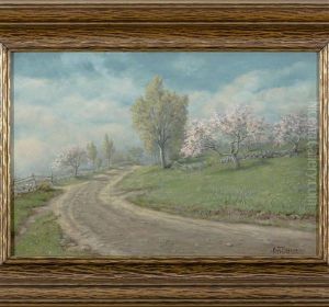 Apple Orchard In Spring