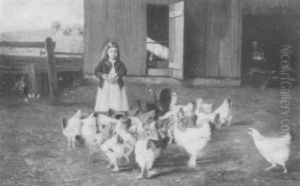 Young Girl Feeding The Chickens