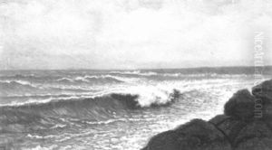 Coastal View