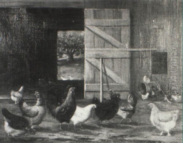 Chickens In A Barn - view 1