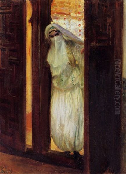 A Veiled Beauty - view 1