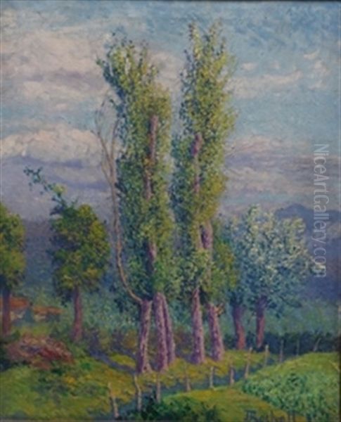 Arboleda - view 1