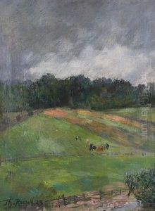 Landscape Near Sababurg