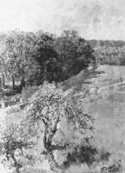 Landschaft Im Fruhling - view 1