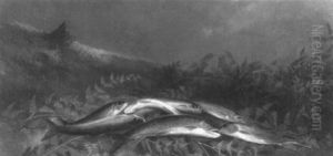 Still Life With Trout by Augustus Rockwell