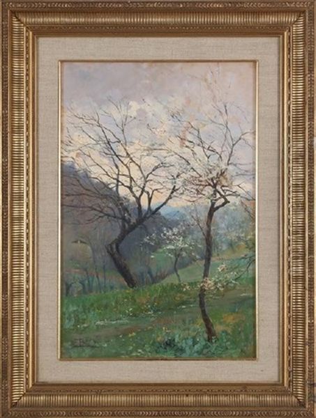 Mandorli - view 1