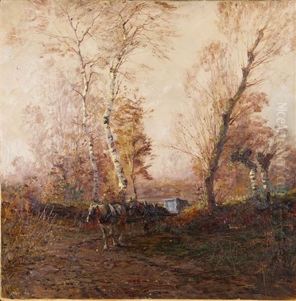 Carretto Nel Bosco - view 1