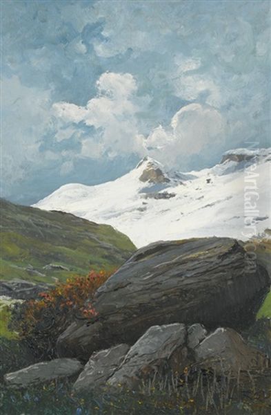 Sommerliche Gebirgspartie Mit Alpenrosen - view 1