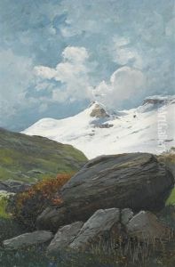 Sommerliche Gebirgspartie Mit Alpenrosen Sommerliche Gebirgspartie Mit Alpenrosen