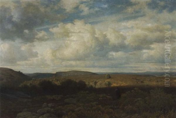 Schafer In Weiter Westfalischer Landschaft - view 1