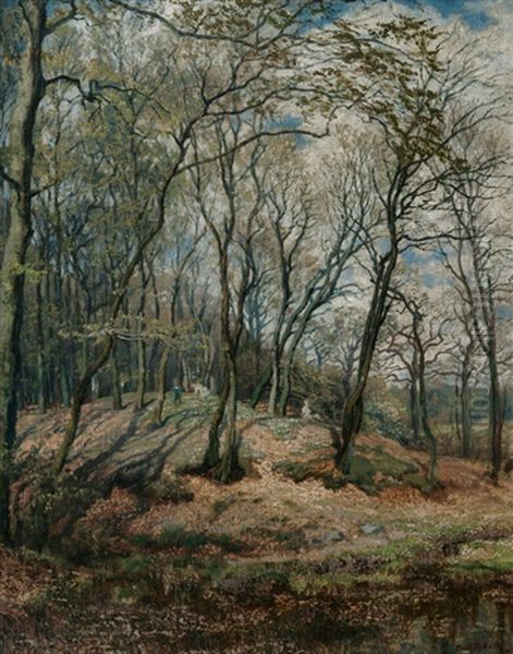 Spring In The Forest - view 1