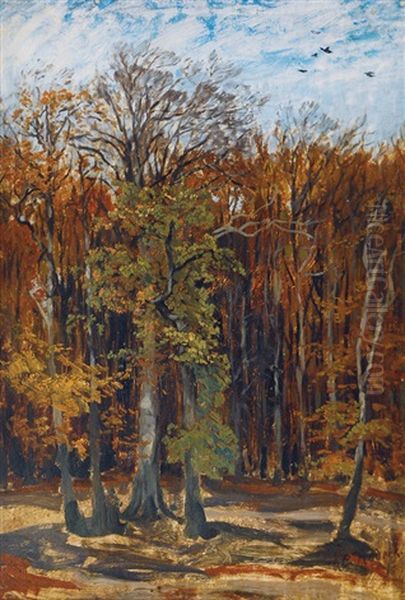 Sunny Autumn Day - view 1
