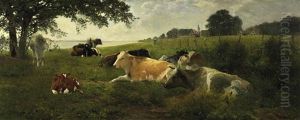 Morgenruhe. Lagernde Kuhherde Am Flusufer Morgenruhe. Lagernde Kuhherde Am Flusufer