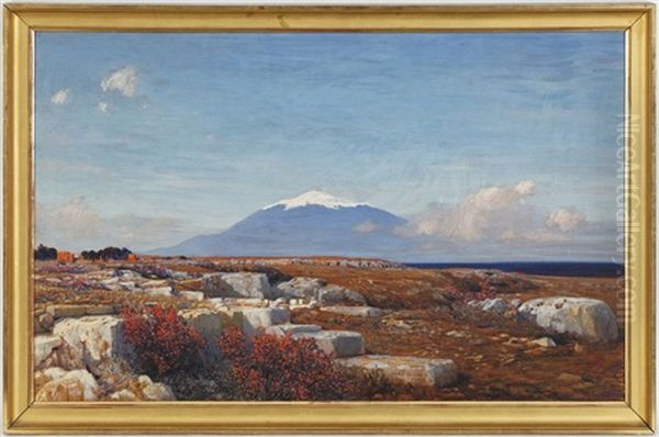 Paysage Et Mont Enneige - view 1