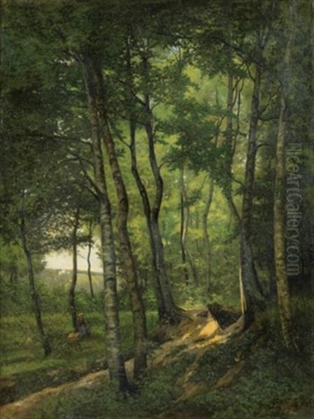 La Foret De Marly-le-roy - view 1