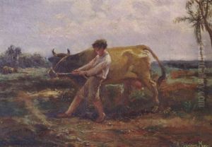 Campo by Antonio Rodriguez Morey
