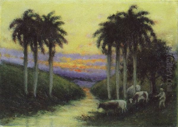 Atardecer Con Ganado - view 1
